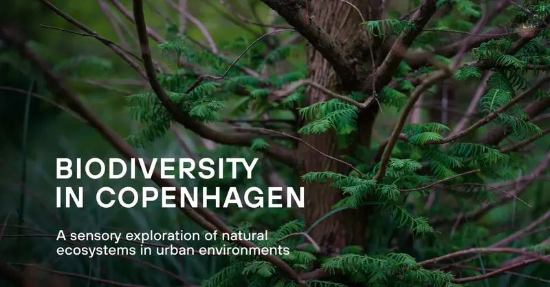 Biodiversity in Copenhagen