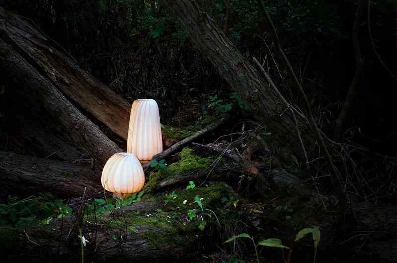 Tom Rossau Forest